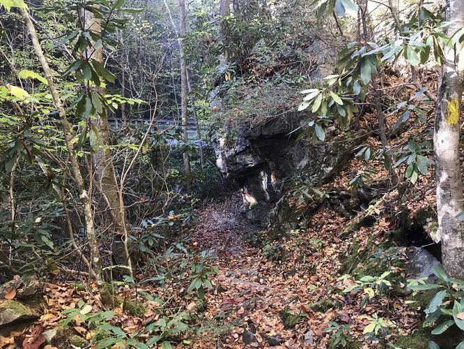 Picture 7 of Little Stony Falls Hike 102121