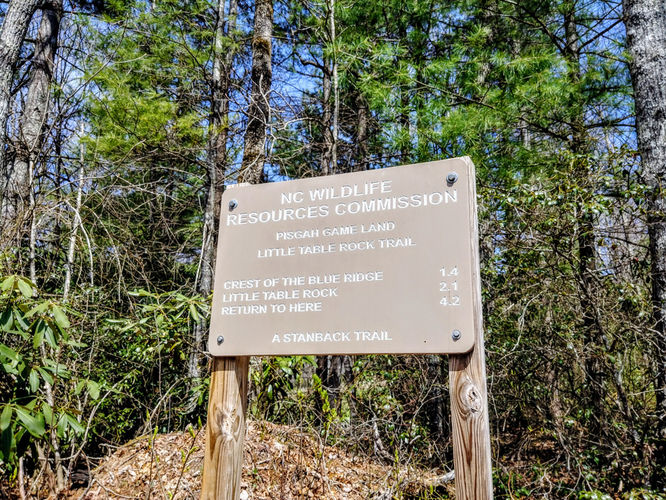 Picture 3 of Little Table Rock Mountain Hike 041418