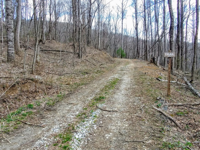 Picture 4 of Little Table Rock Mountain Hike 041418