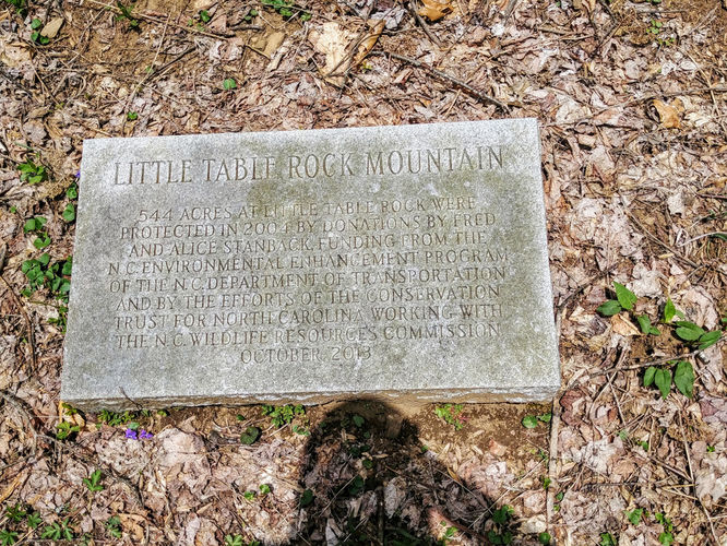Picture 5 of Little Table Rock Mountain Hike 041418