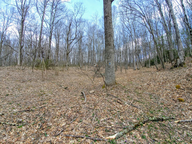 Picture 6 of Little Table Rock Mountain Hike 041418