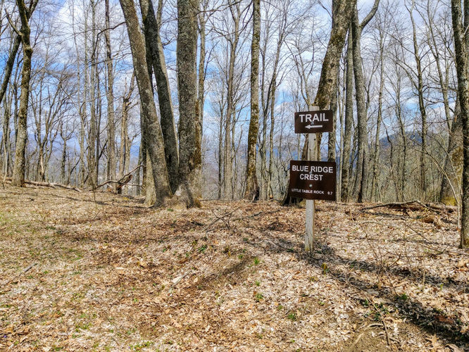 Picture 7 of Little Table Rock Mountain Hike 041418