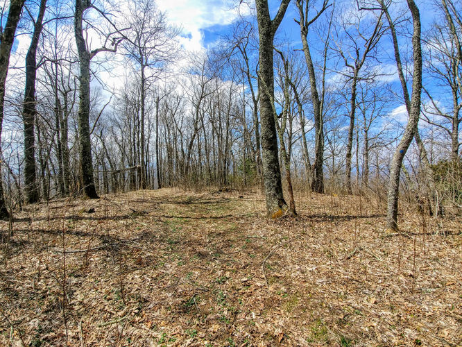 Picture 8 of Little Table Rock Mountain Hike 041418