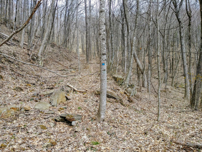 Picture 14 of Little Table Rock Mountain Hike 041418