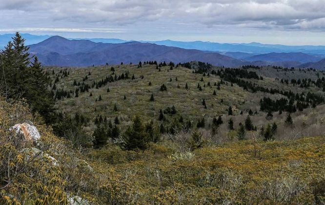 Default image for Little Table Rock Mountain Hike, a 4.1-mile trail in Spruce Pine, NC (US)