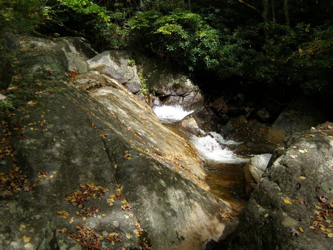 Picture 14 of Little Wilson Creek Wilderness 092814