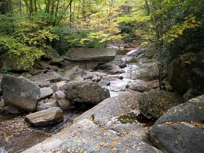 Picture 16 of Little Wilson Creek Wilderness 092814