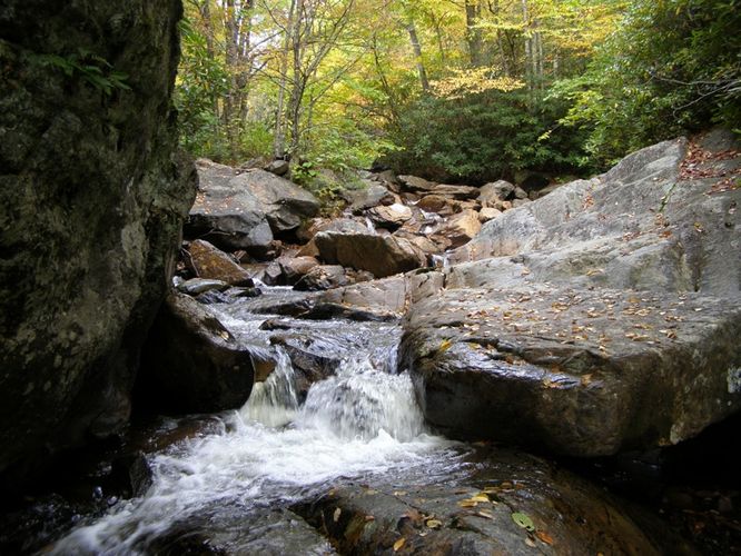 Picture 17 of Little Wilson Creek Wilderness 092814