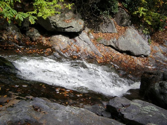 Picture 23 of Little Wilson Creek Wilderness 092814