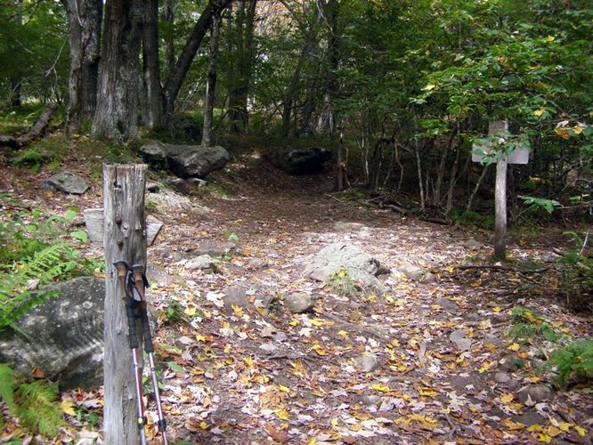 Picture 37 of Little Wilson Creek Wilderness 092814