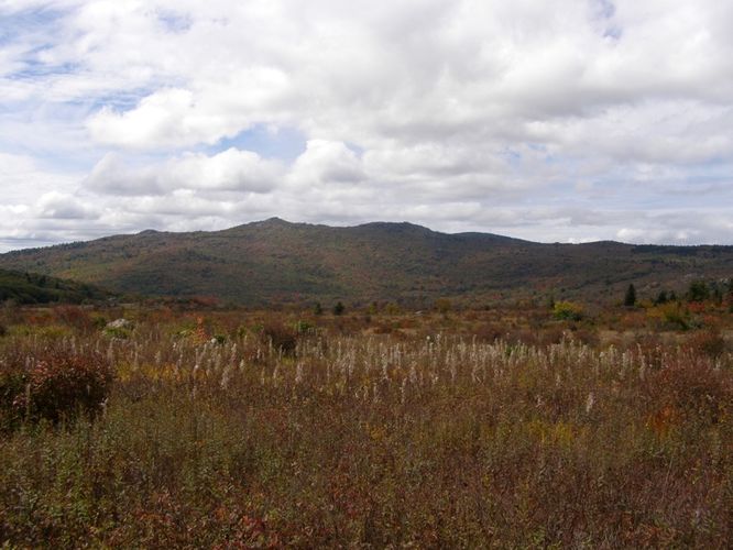 Picture 39 of Little Wilson Creek Wilderness 092814