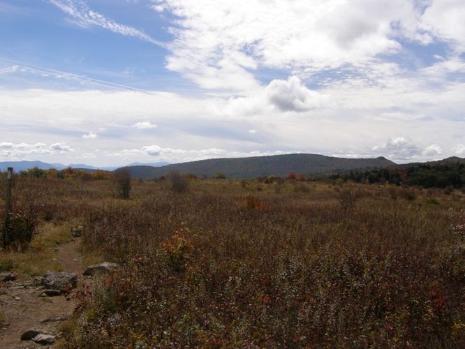 Picture 40 of Little Wilson Creek Wilderness 092814