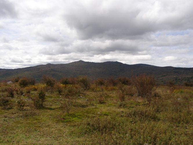 Picture 44 of Little Wilson Creek Wilderness 092814