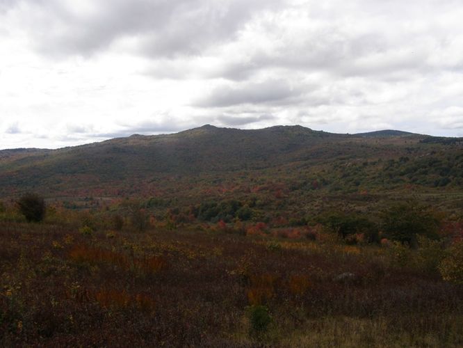 Picture 47 of Little Wilson Creek Wilderness 092814