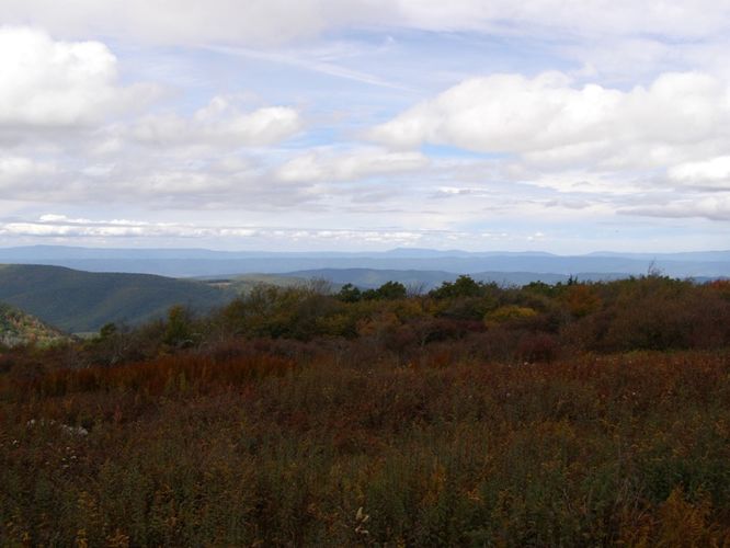 Picture 52 of Little Wilson Creek Wilderness 092814