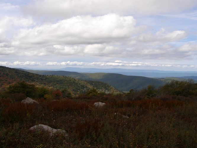 Picture 53 of Little Wilson Creek Wilderness 092814