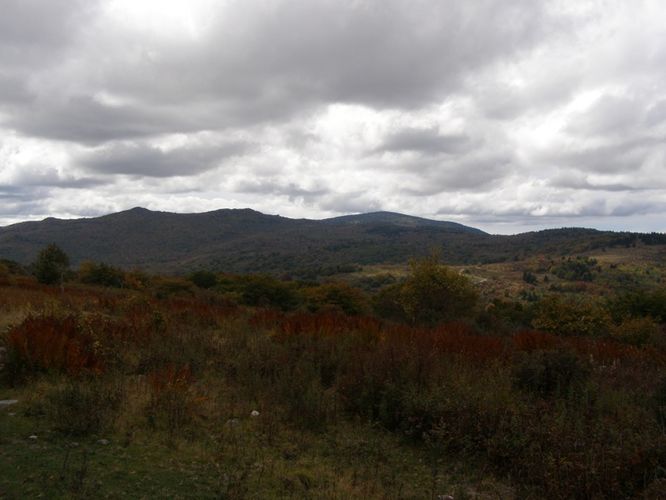 Picture 54 of Little Wilson Creek Wilderness 092814