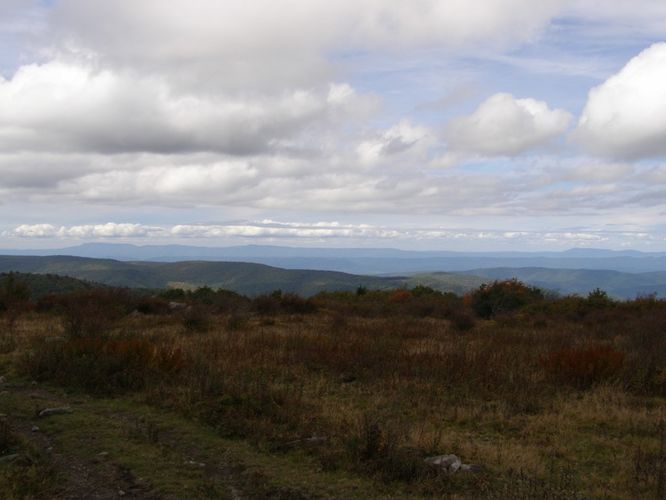 Picture 56 of Little Wilson Creek Wilderness 092814
