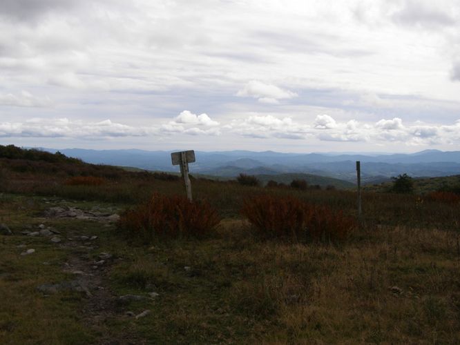 Picture 57 of Little Wilson Creek Wilderness 092814