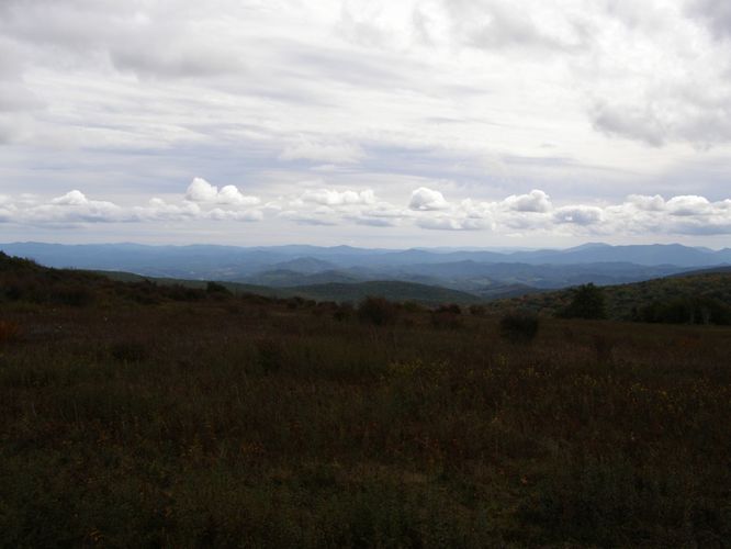 Picture 59 of Little Wilson Creek Wilderness 092814
