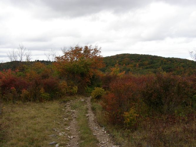 Picture 66 of Little Wilson Creek Wilderness 092814