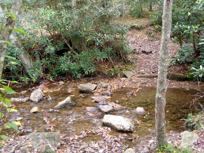 Picture 71 of Little Wilson Creek Wilderness 092814
