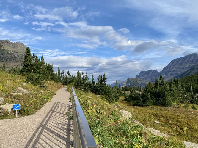 Universally-accessible path at Logan Pass