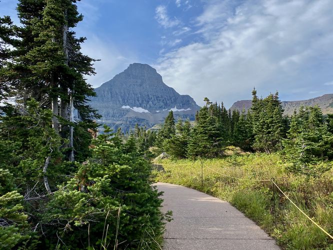 Reynolds Mountain stands behind the paved Logan Pass Accessible Loop