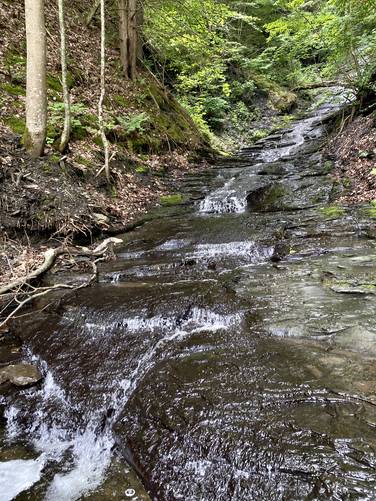 Long Hill Falls (approx. 100-feet tall)