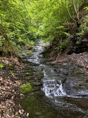 Long Hill Falls (approx. 100-feet tall)