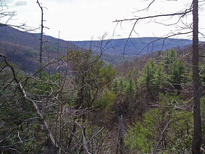 Default image for Long Mountain Hike, a 8.6-mile trail in Wardensville, WV (US)