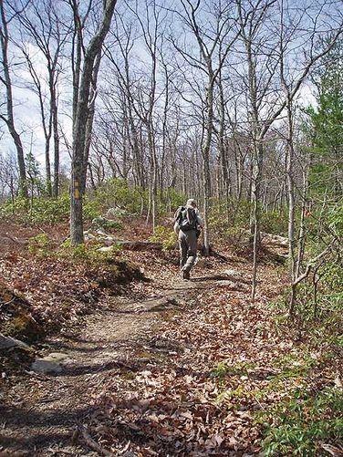 Picture 26 of Long Mountain Hike 040506