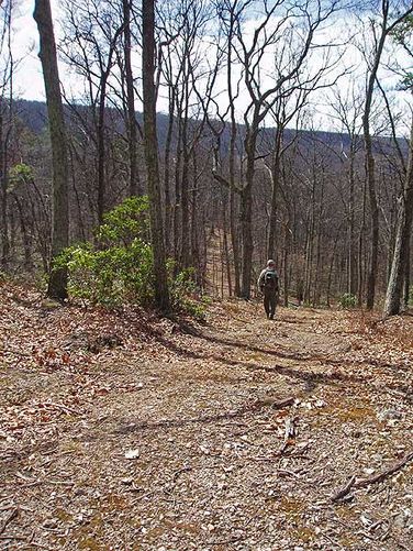 Picture 28 of Long Mountain Hike 040506