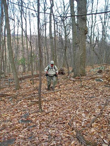 Picture 3 of Long Mountain Hike 040506