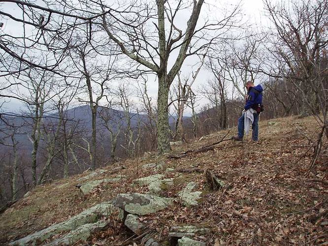 Picture 5 of Long Mountain Ridge Hike 033107