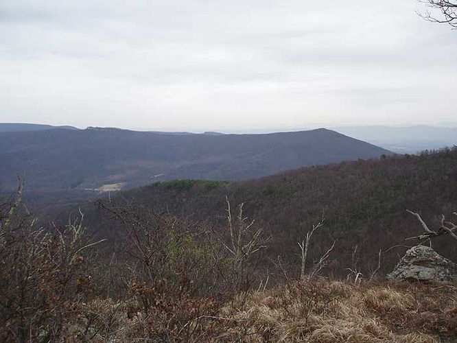 Picture 7 of Long Mountain Ridge Hike 033107
