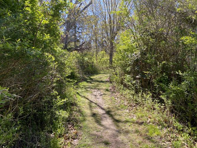 Hiking the Long Pasture Trail