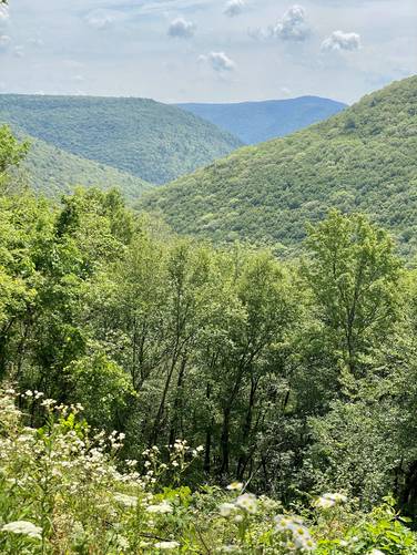 Longs Ridge Vista