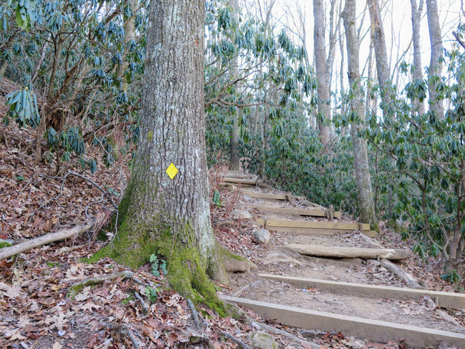 Picture 12 of Lookout Mountain Hike 123016