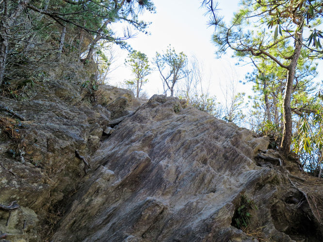 Picture 14 of Lookout Mountain Hike 123016