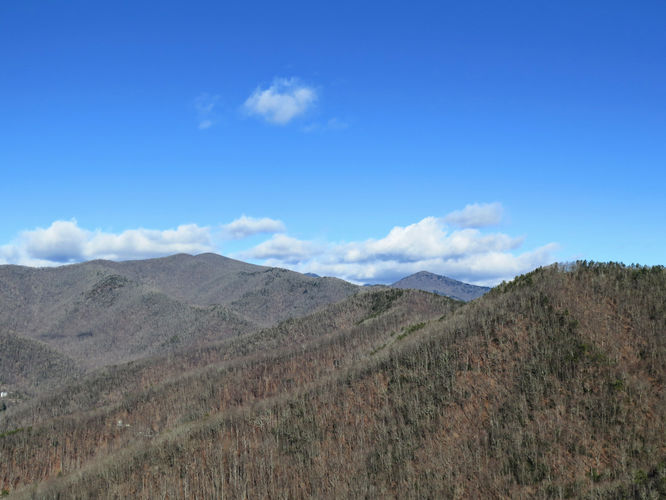 Picture 19 of Lookout Mountain Hike 123016