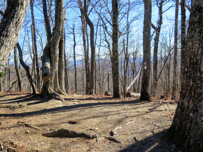 Picture 25 of Lookout Mountain Hike 123016