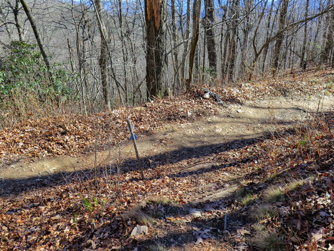Picture 26 of Lookout Mountain Hike 123016