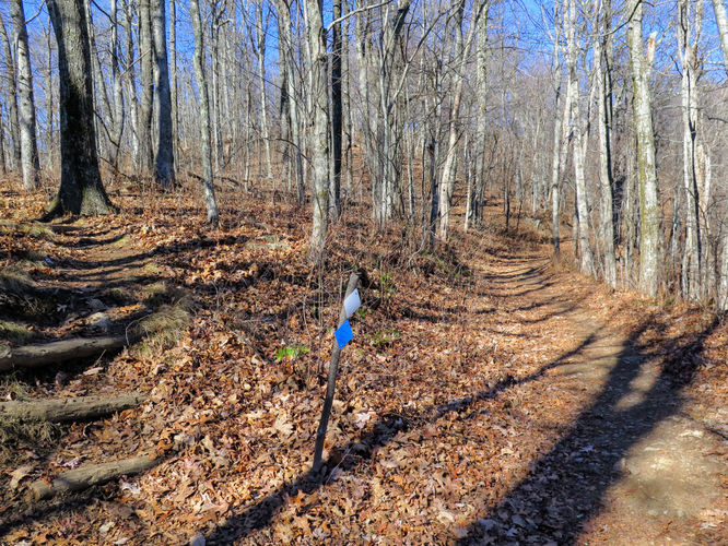 Picture 27 of Lookout Mountain Hike 123016