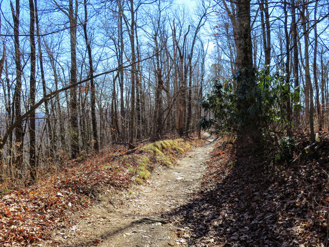 Picture 28 of Lookout Mountain Hike 123016