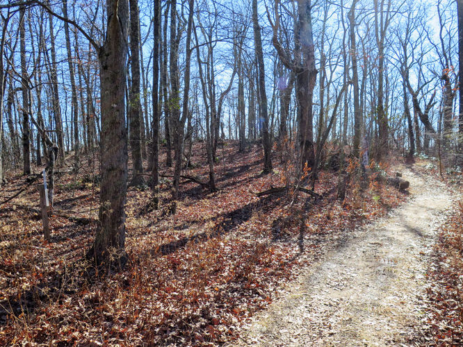 Picture 30 of Lookout Mountain Hike 123016