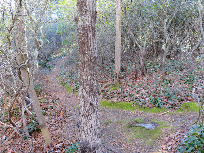 Picture 31 of Lookout Mountain Hike 123016