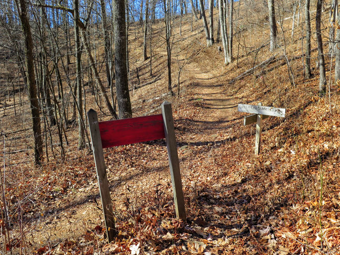 Picture 37 of Lookout Mountain Hike 123016
