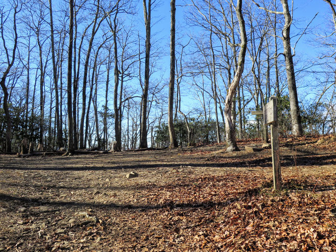 Picture 38 of Lookout Mountain Hike 123016