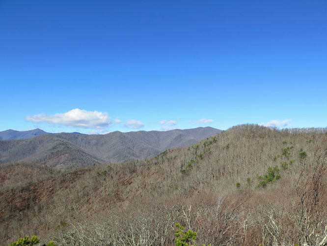 Picture 41 of Lookout Mountain Hike 123016